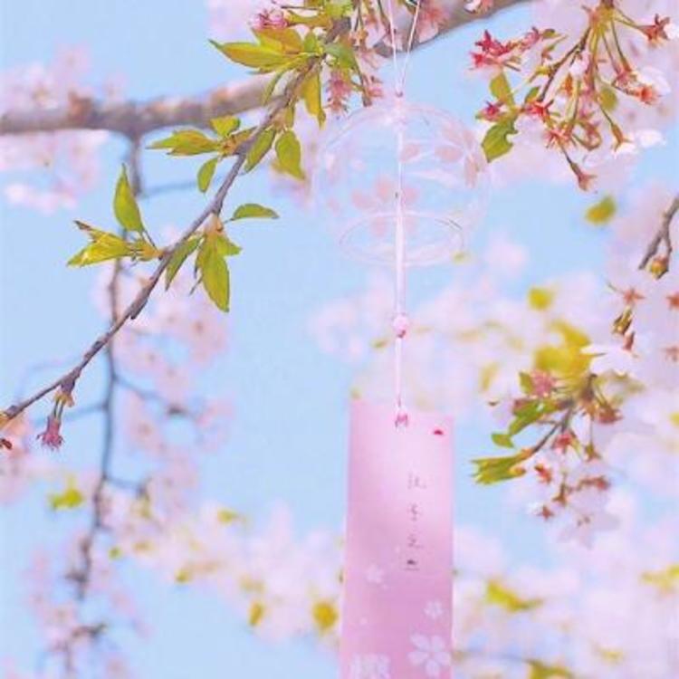 比古清十郎（身份：剑心师父、飞天御剑流第十三代传人） - 海外剧字幕组在线观看 - 网络影视